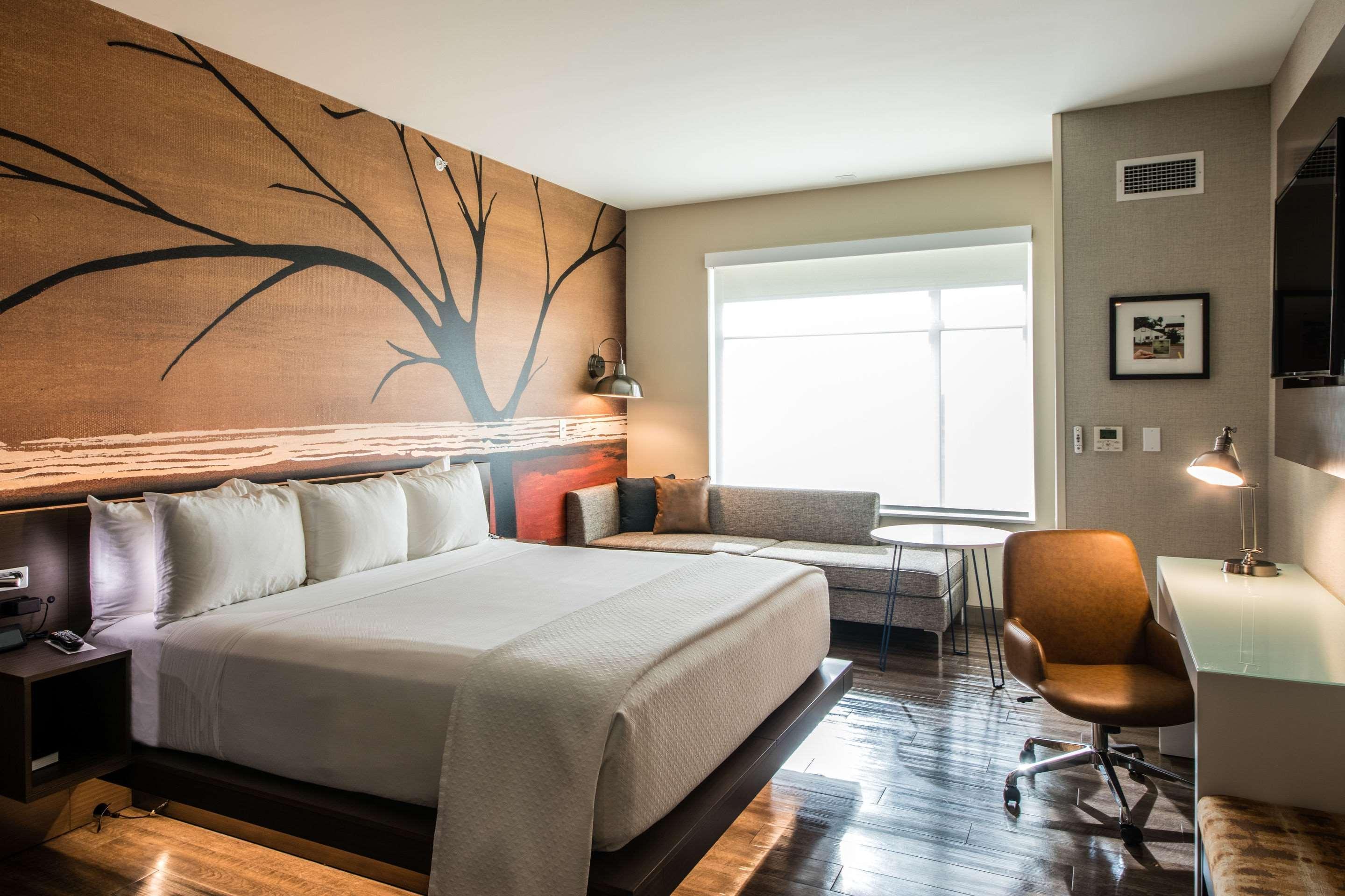 Cambria Hotel Mcallen Convention Center Экстерьер фото