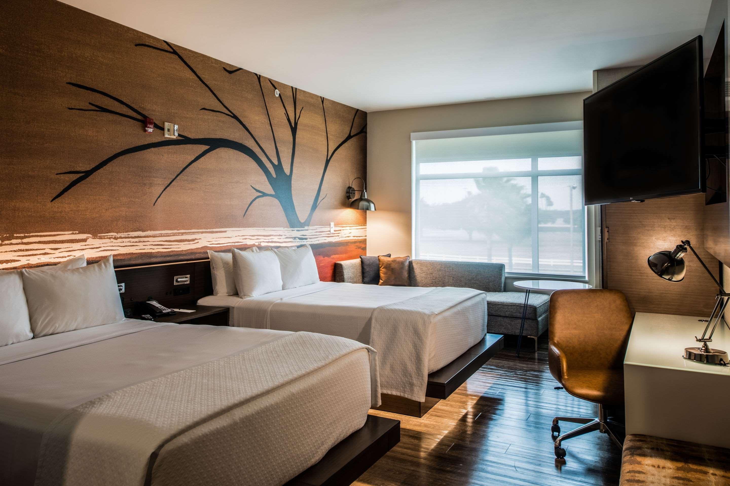 Cambria Hotel Mcallen Convention Center Экстерьер фото